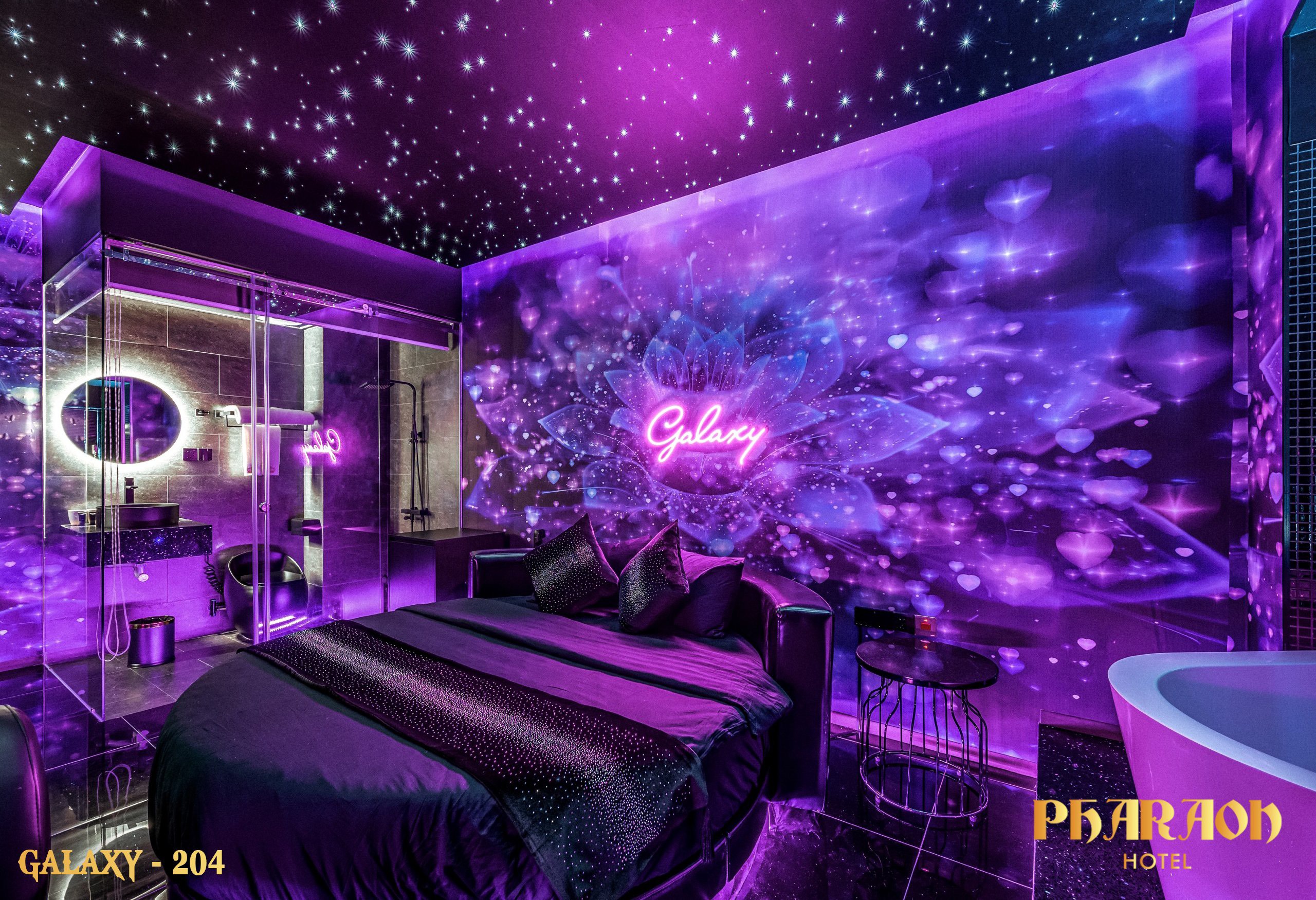 Vip1-Galaxy